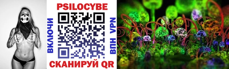 где купить наркотик  Лыткарино  Галлюциногенные грибы Psilocybe 